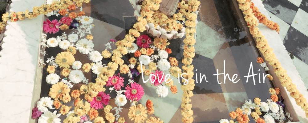 Niti's vraja viharini collection